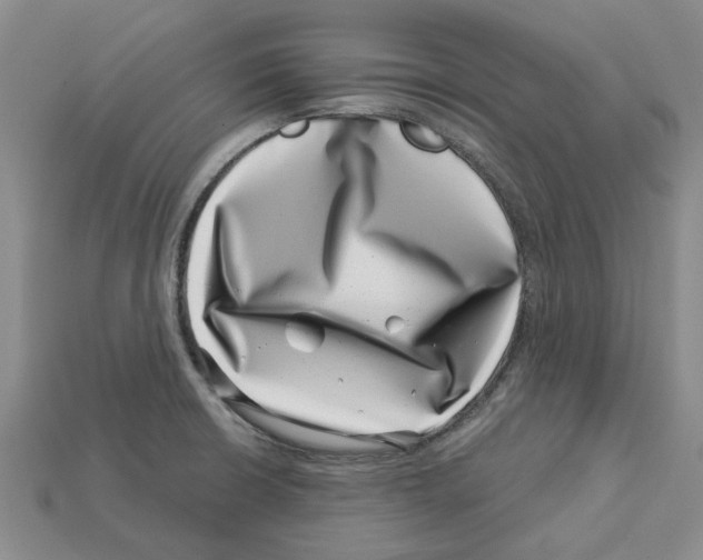 X0000113001426200909241252