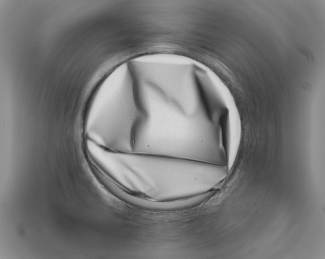 X0000113001430200909241252