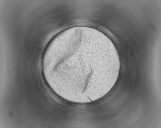 X0000113001431200909241252