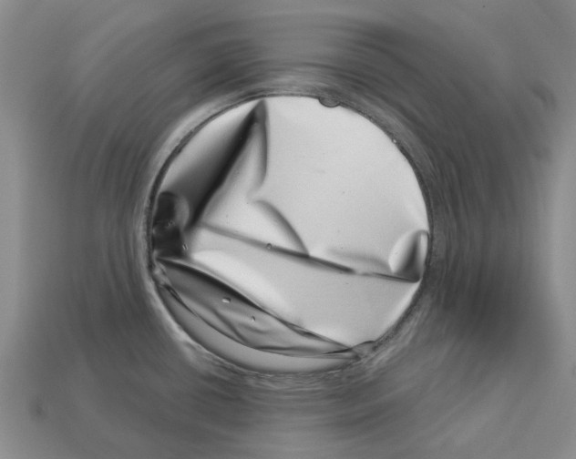 X0000113001434200909241252