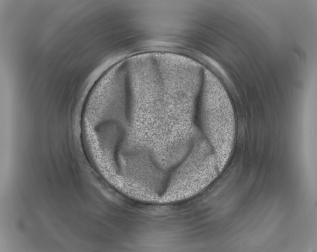 X0000113001435200909241252