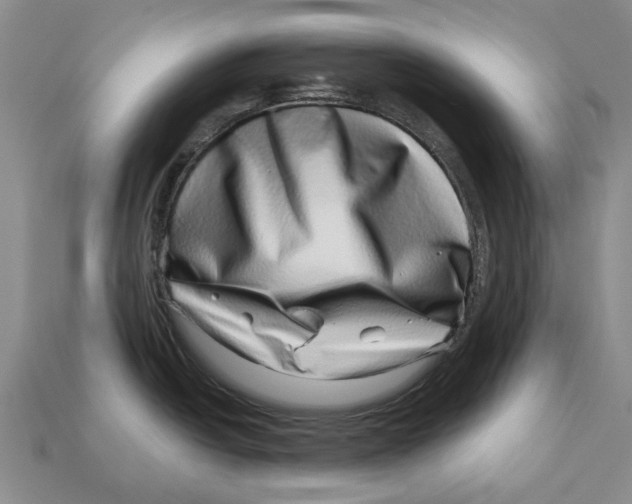 X0000113001438200909241252