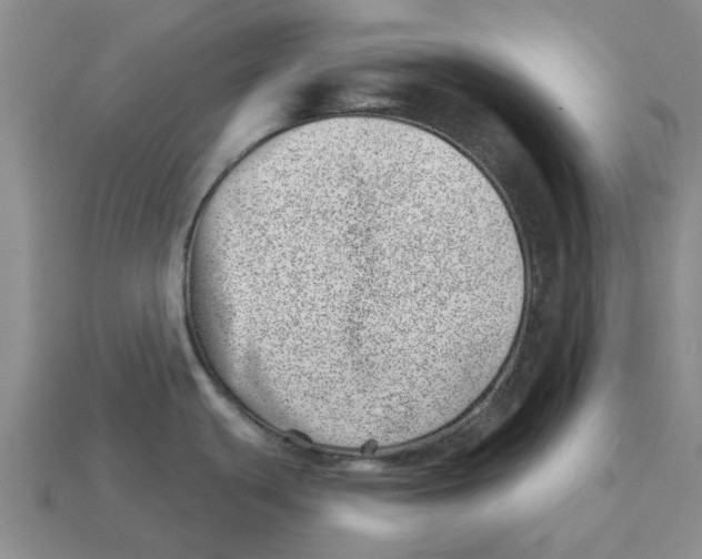 X0000113001439200909241252