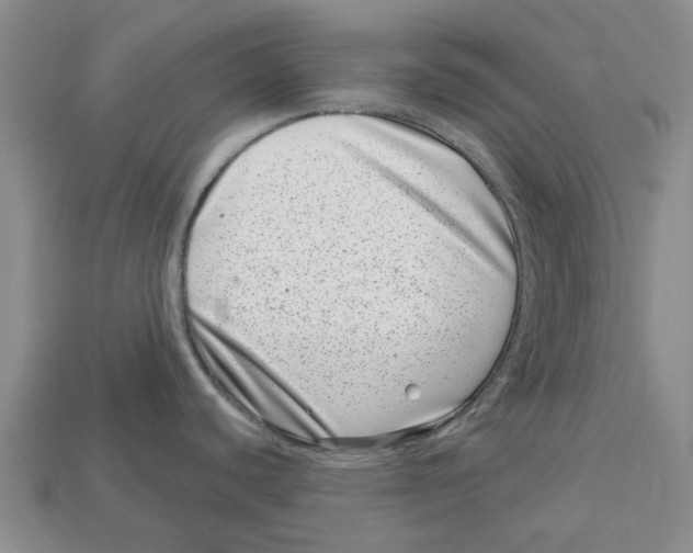 X0000113001440200909241252