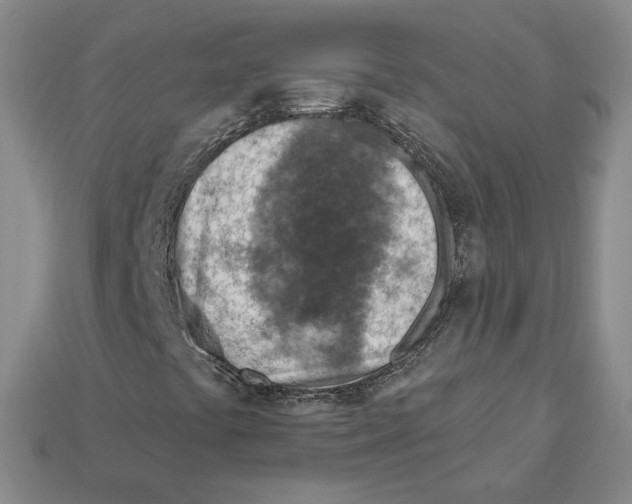 X0000113001441200909241251