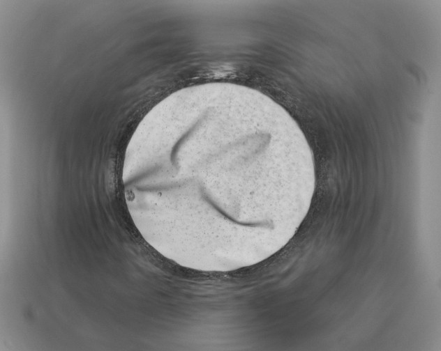 X0000113001442200909241251