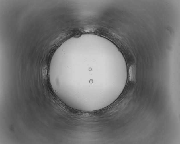 X0000113001443200909241251