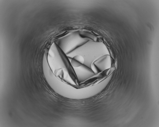 X0000113001444200909241251