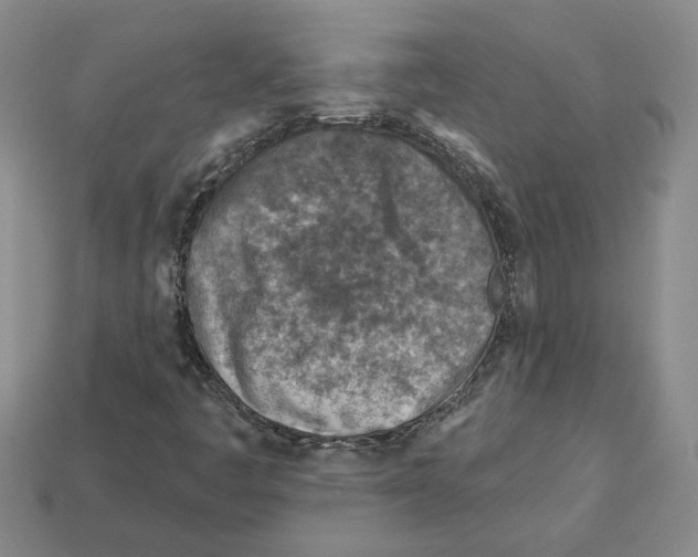 X0000113001445200909241251