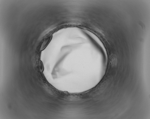 X0000113001448200909241251