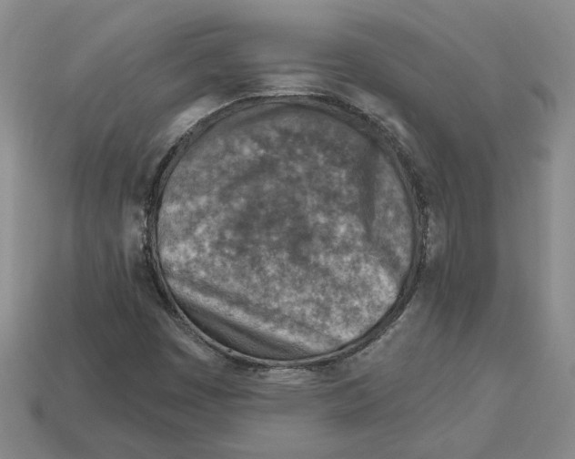 X0000113001449200909241251