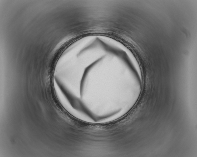 X0000113001450200909241251