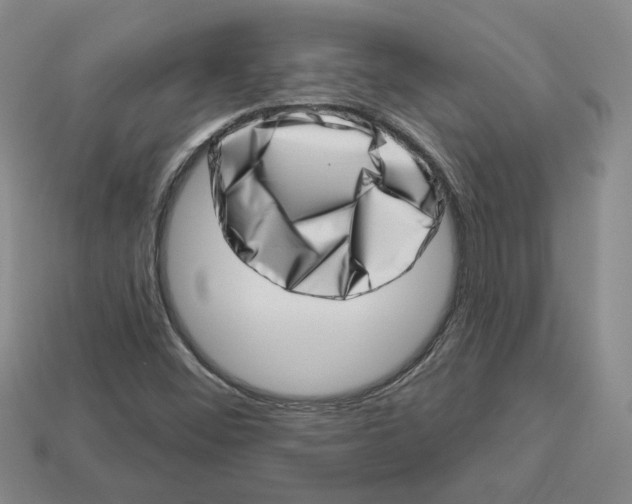 X0000113001452200909241251