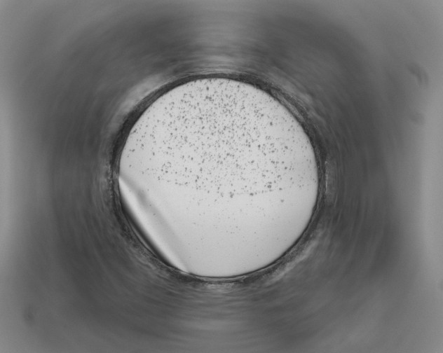 X0000113001453200909241251