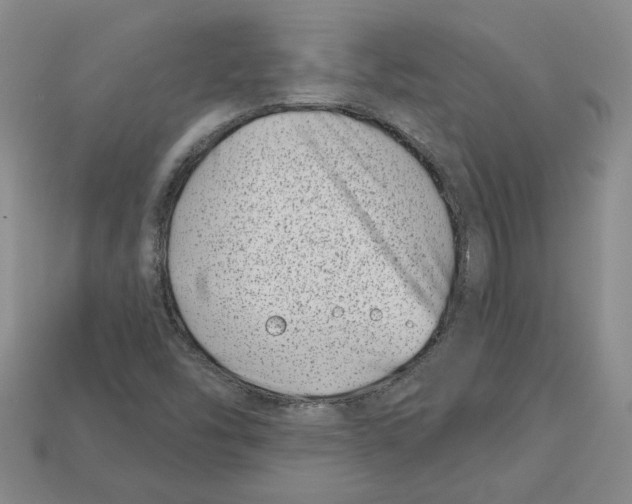 X0000113001454200909241251