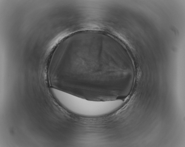 X0000113001455200909241251