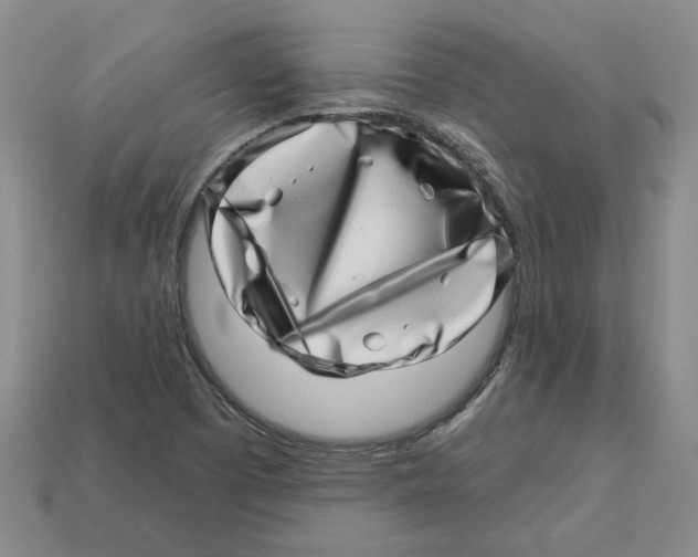 X0000113001457200909241251