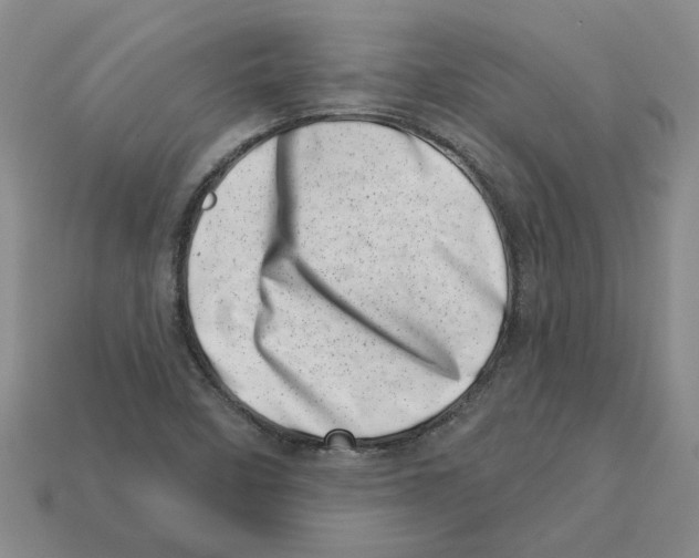 X0000113001458200909241251