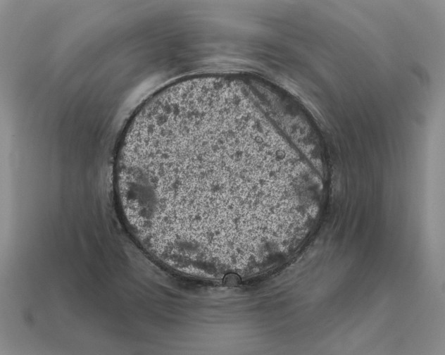 X0000113001459200909241251