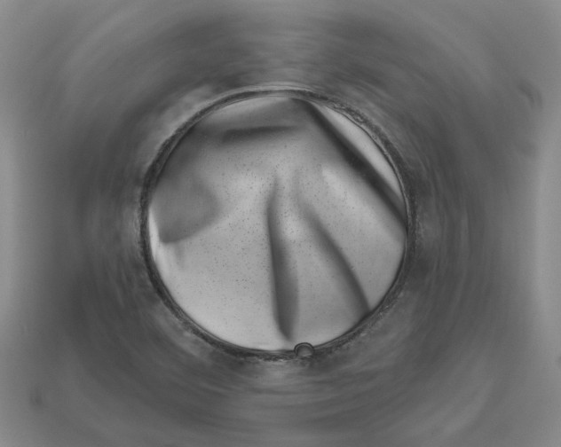 X0000113001460200909241251