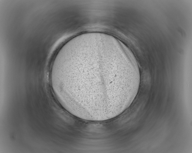 X0000113001462200909241251