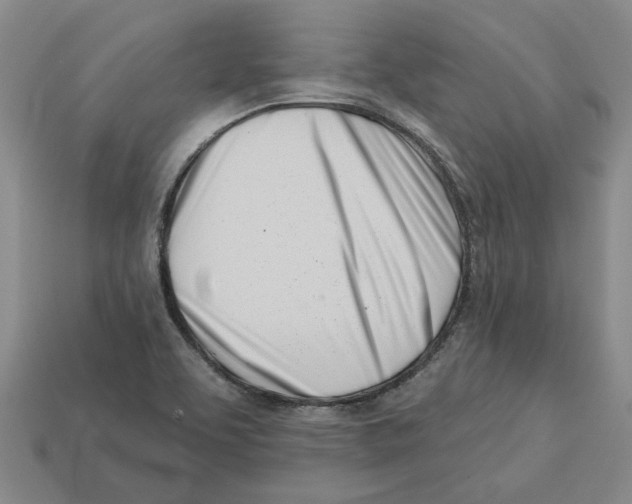 X0000113001463200909241251