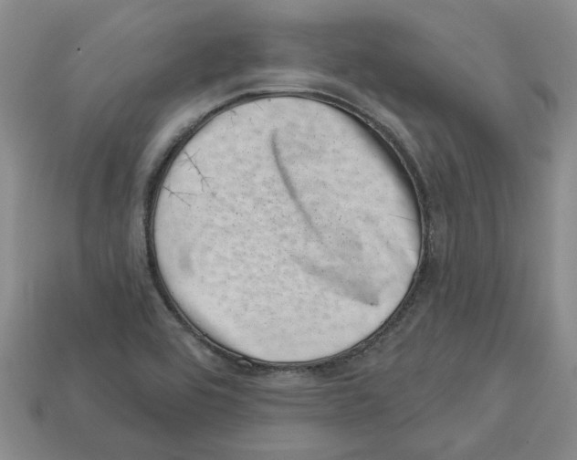 X0000113001464200909241251