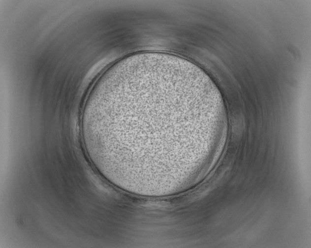 X0000113001466200909241251