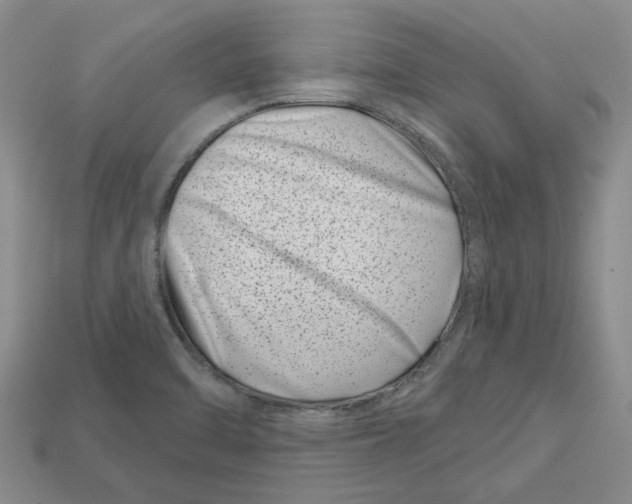 X0000113001470200909241251