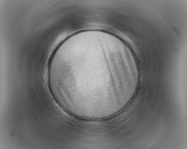 X0000113001472200909241251