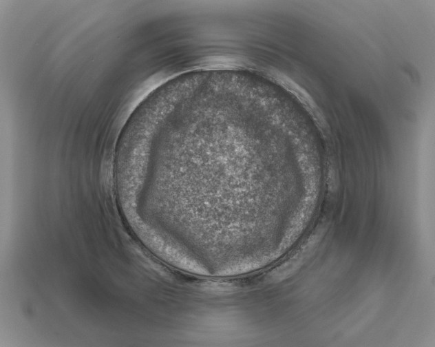 X0000113001473200909241251