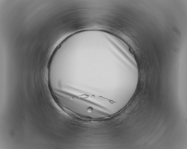 X0000113001476200909241251