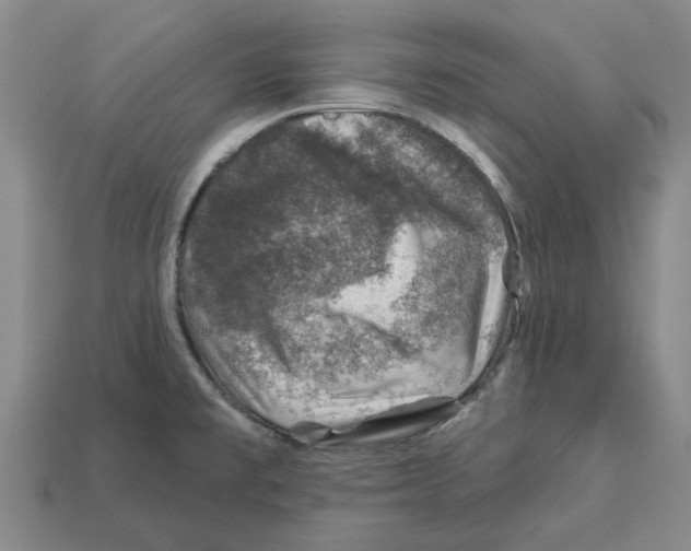 X0000113001477200909241251