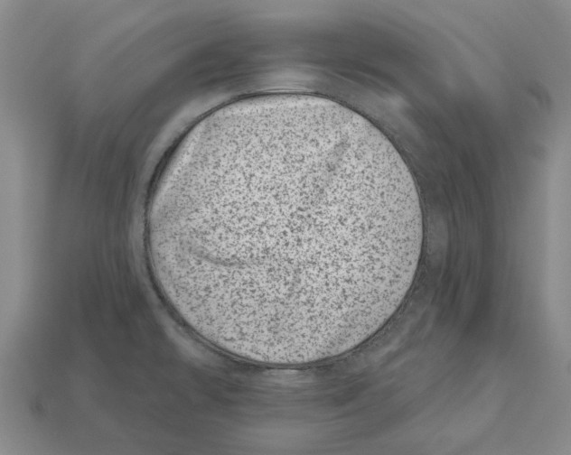 X0000113001478200909241251