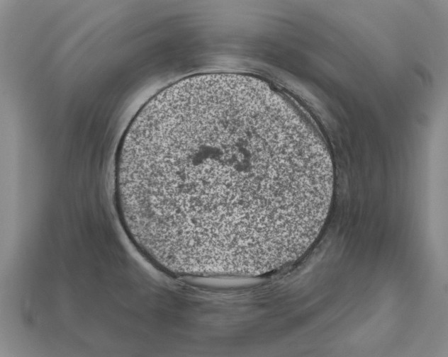 X0000113001479200909241251