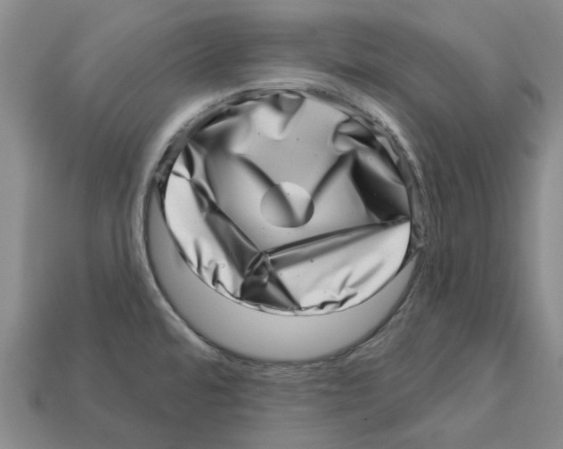 X0000113001480200909241251