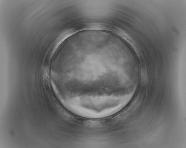 X0000113001481200909241251