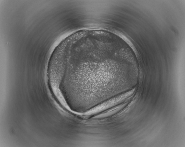 X0000113001485200909241251