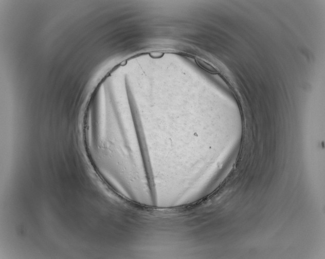 X0000113001488200909241251