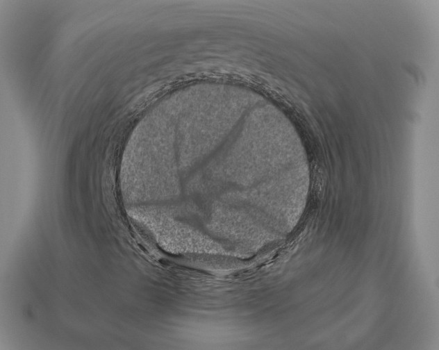 X0000113001489200909241250