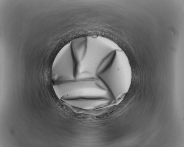 X0000113001490200909241250