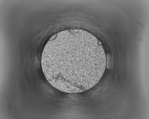 X0000113001491200909241250