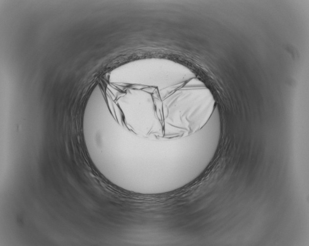 X0000113001492200909241250