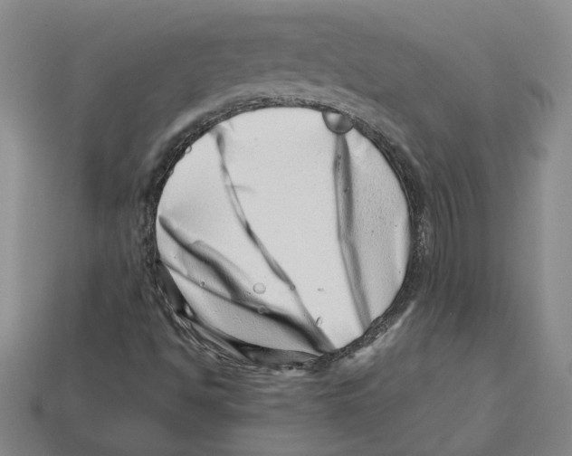 X0000113001494200909241250