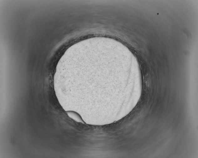 X0000113001495200909241250