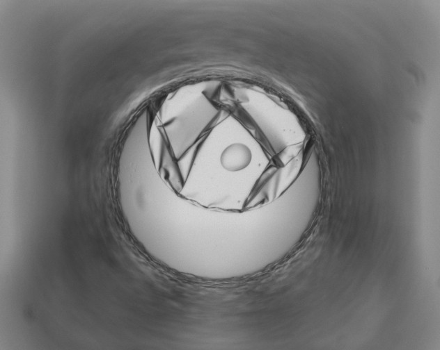 X0000113001496200909241250