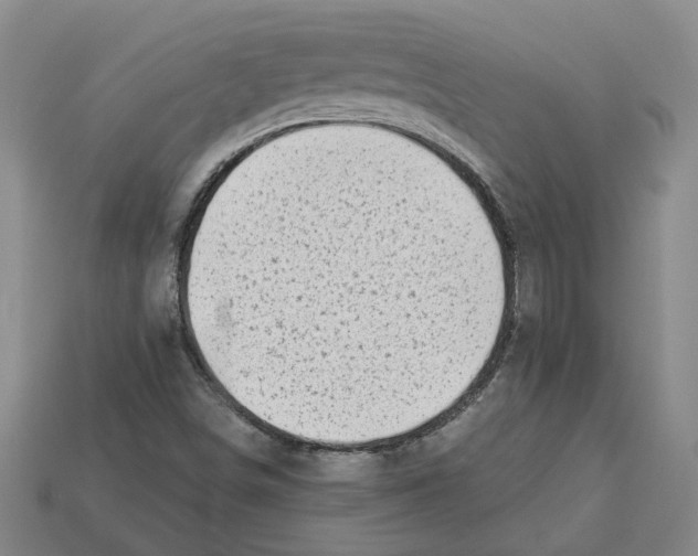 X0000113001498200909241250