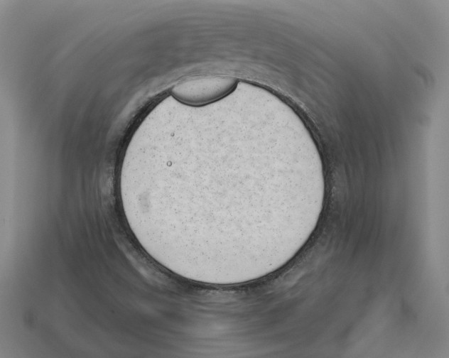 X0000113001499200909241250