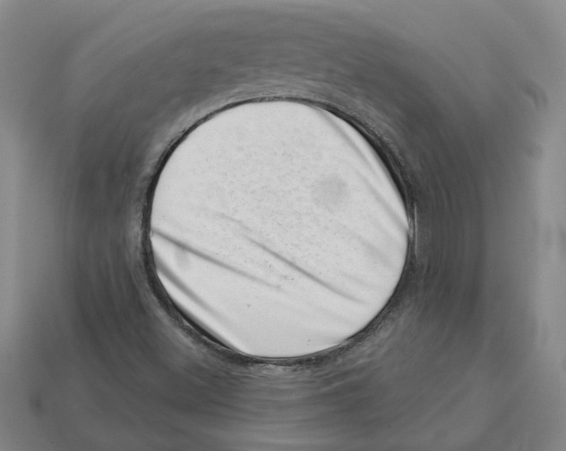 X0000113001500200909241250