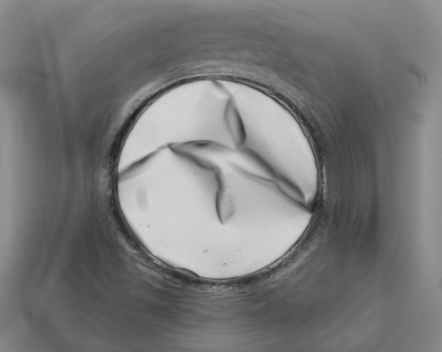 X0000113001501200909241250